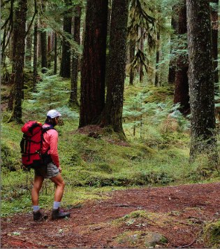 Australia Trek Training Programs