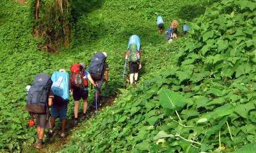 Kokoda Track Trekking