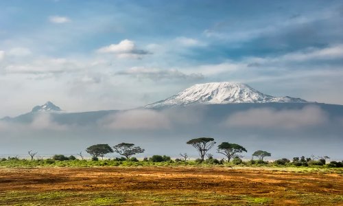 Mt Kilimanjaro Trek